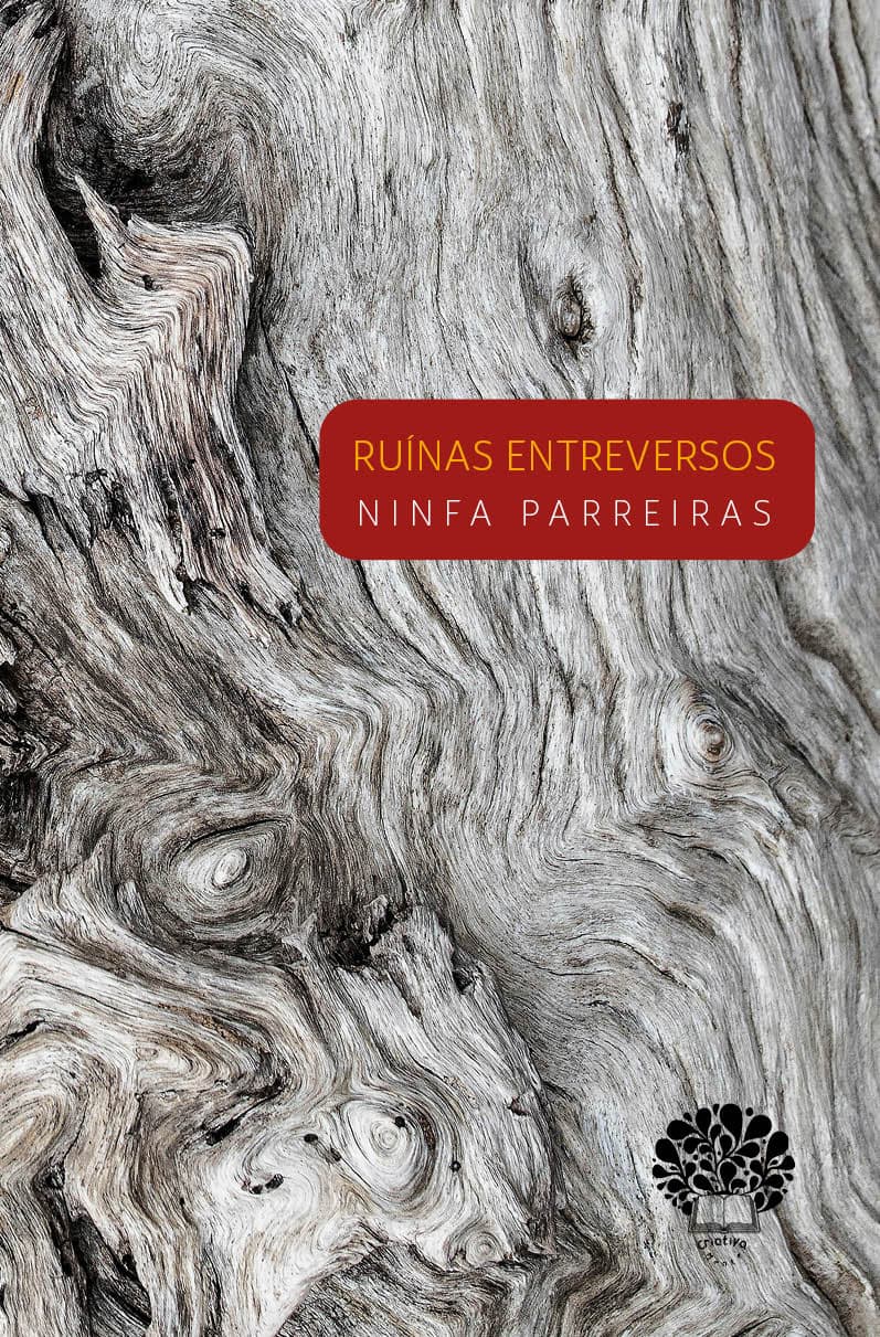 Capa do livro Ruínas entreversos, escrito por Ninfa Parreiras
